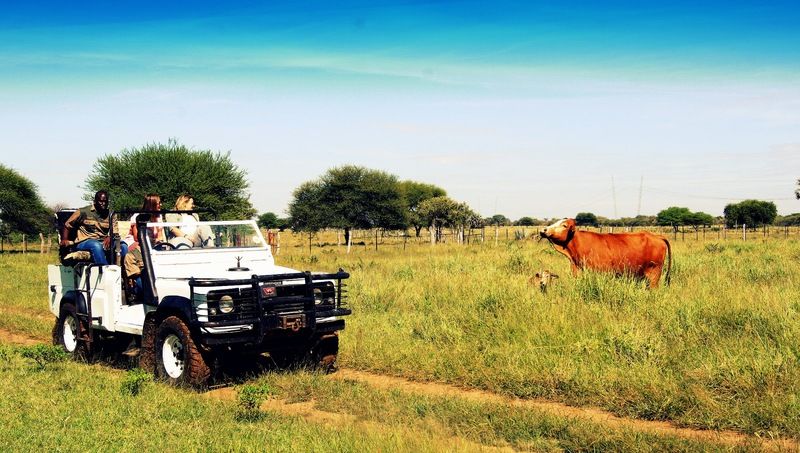 Отель Dornhuegel Guestfarm Grootfontein Экстерьер фото